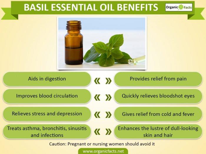 Bella Vita Organic Basil Pure Essential Oil 15 ml, Natural Can be