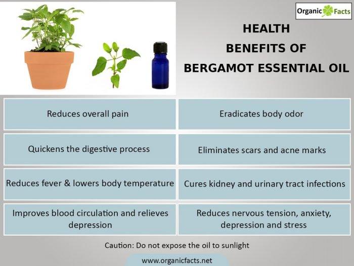 7 Ways to Use Bergamot Essential Oil 