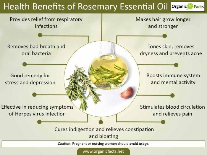 Herbal Choice Mari Organic Rosemary Essential Oil; 0.3floz Glass
