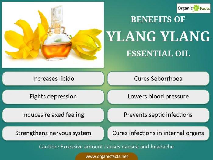 Herbal Choice Mari Organic Ylang Ylang Essential Oil; 0.3floz Glass